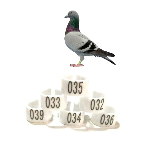 Gerrit 10mm Numbered Plastic Letter Bird Leg Band Quail Chick Plastic Marker Poultry（10colors） 001-100 White - color: White, size: 001-100