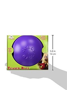 Jolly Pets Teaser Ball Dog Toy, Medium/6 Inches, Purple (1506 PR) - color: Purple, size: Medium (6 in)