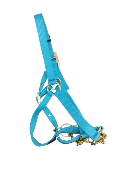 Heavy Duty Nylon Yearling Cow Halter with Control Chain - size: Burgundy