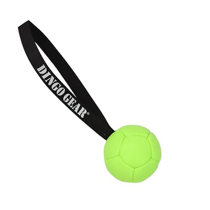 Dingo Gear Dog Ball and Pump Set, Faux Leather, Green 3in - color: Green Ball+Pump, size: 3"