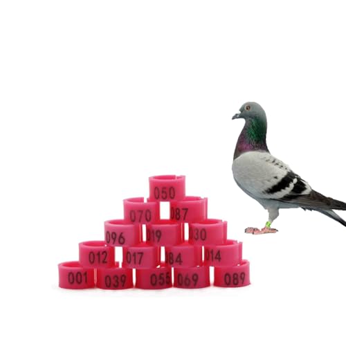 Gerrit 10mm Numbered Plastic Letter Bird Leg Band Quail Chick Plastic Marker Poultry（10colors） 001-100 Pink - color: Pink, size: 001-100