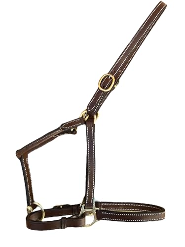 Leaders 3/4" Leather Halter for Horses with Customized Engraved Name Plate Brown Leather with Solid Brass Hardware - size: Draft