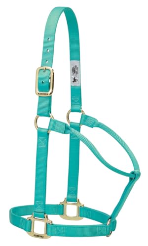 Weaver Leather Original Non-Adjustable Nylon Horse Halter, Average, Mint
