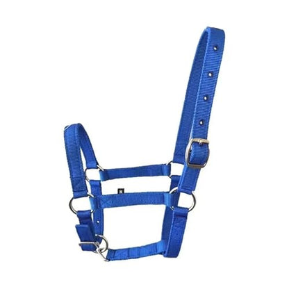 Cattle Halter Horse Equitation Padded Halter Bridle Comfortable Firm and Deformable Rein Equestrian Adjustable Head(Blue M) - color: Blue M