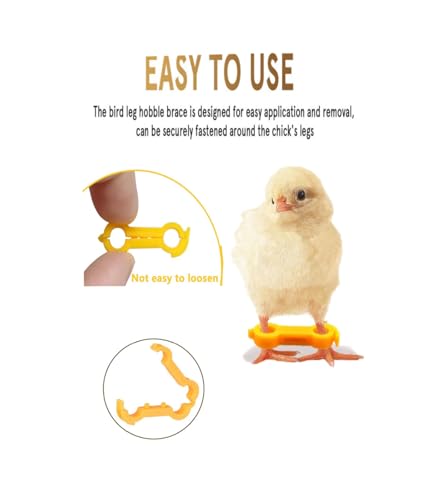 15 Pieces of Baby Chicken Parrot Character Poultry Leg Belts, Newborn Chicks, Quails, Ducks, 1 to 3 Days Newly Hatched Bird Parrot Leg Belts, 3 Sizes