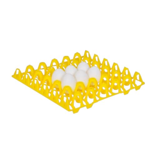 Hatching Time Plastic Egg Tray – Durable ABS Egg Setter & Collection Tray | Easy-Clean, Stable Positioning for Poultry Eggs - style: 30 Egg Setter Tray - Chicken