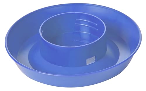 Little Giant® Screw-On Poultry Waterer Base | Heavy Duty Plastic Water Tray Base for Container | Chicken Waterer Screw on Base (Berry Blue, 1 Count) - color: Berry Blue