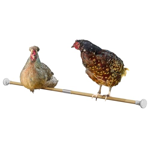 Omlet Chicken Perch | Enhance Your Outdoor Chickens Run with a Fun Accessory | Naturally Weather Resistant Perch with an Innovative Bracket Design | Eucalyptus Wood | 6ft - size: 6ft