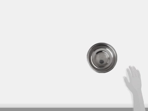 Loving Pets Standard Stainless Dish, Dog Bowl, 2-Quart - color: Stainless, size: 2 Quarts