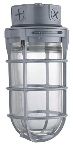 Lithonia Lighting Jelly Jar Light Fixture, Incandescent Utility Vapor Tight Ceiling Lamp, Industrial Style Wall Light for Indoor and Outdoor Use, 150W, 120V, Includes Junction Box, Grey (VC150I M12) - size: 150W Max (Pack of 12), style: Ceiling Mount