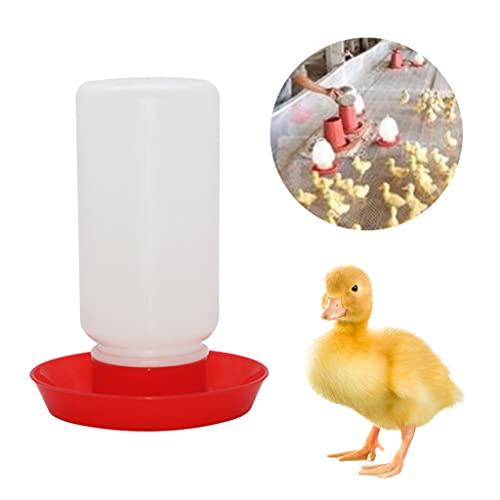Chick Feeder and Waterer Set, 1L Baby Chicken Waterer Feeder, Baby Chicken Starter Kit, Hanging Poultry Drinker Quail Feeder, Small Coop Water Dispenser for Chickens, Turkeys, Ducks (Medium Feeder) - color: Medium Feeder