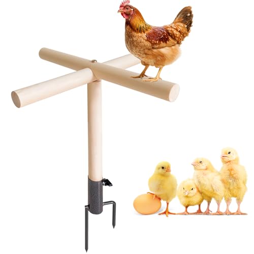 Chicken Gifts for Women, Chicken Coop Accessories, Christmas Birthday Gifts for Chicken Lovers, Chicken Roosting Bars Perch & Swing Toys for Coop, Chicken Ladder Playground for Chicks
