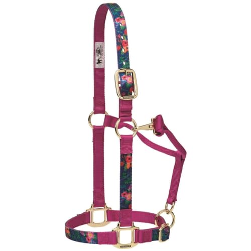 Weaver Leather Adjustable Patterned Nylon Horse Halter, Cactus, Small Horse