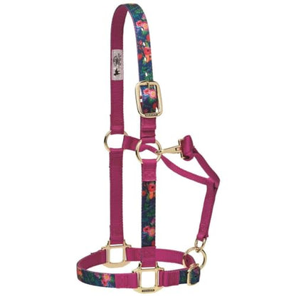Weaver Leather Adjustable Patterned Nylon Horse Halter, Cactus, Small Horse