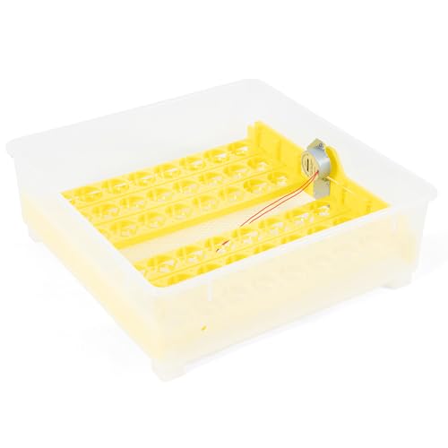 Egg Incubator Automatic Digital Hatcher Machine with Turning Temperature Control for Hatching Chicken Duck Goose Quail (48 Eggs) - size: 48 Eggs