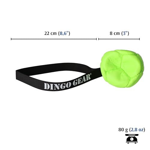 Dingo Gear Dog Ball and Pump Set, Faux Leather, Green 3in - color: Green Ball+Pump, size: 3"