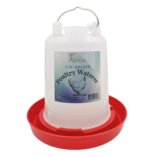 Chicken Waterer 3/4-Gallon Red Plastic Poultry Drinker | Convenient Sized Waterer for All Life Stages | for Chickens, Chicks, Ducks, Turkeys, Ducklings, Quail and More - size: 3/4 Gallon