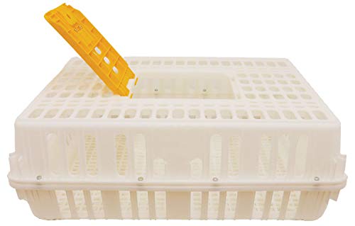 Stromberg's Poultry Transport Crate, Secure Chicken Carrier for Safe Bird Travel and Storage, Ventilated Outdoor Plastic Cage with Hinged Loading Door for 4 to 6 Backyard Chickens or 2-4 Pheasants