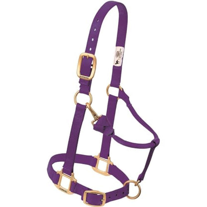 Weaver Leather Original Adjustable Chin and Throat Snap Halter, 1" Average Horse,Graphite