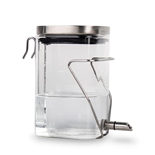 Guinea Pig Water Bottle No Drip, Rabbit Glass Waterer, Chinchilla Stainless Steel Nozzle Anti-Bite Water Dispenser for Small Animal, Bunny, Hamster, Sugar Glider and Rat(20.2oz)