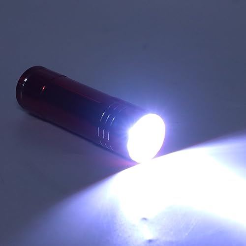 LED Egg Candler Tester High Brightness Cool Light for Poultry Birds (Blue) - color: Blue