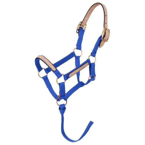 Tough1 Miniature Nylon Breakaway Halter - color: Royal Blue, size: Large