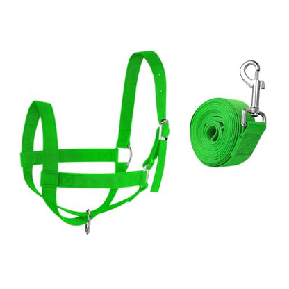 kowaku Nylon Cow Halter Harness Livestock Heavy Duty Practical Wide Adjustable Training Supplies Goat Cow Nylon Cattle Cattle Halter