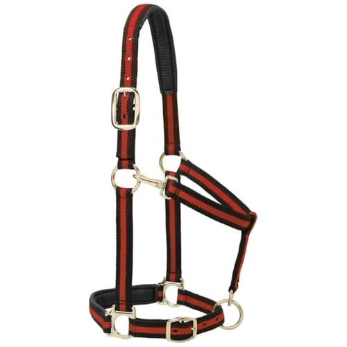 Weaver Leather Nylon Horse Halter, Padded and Adjustable, Chin and Throat Snap Hook Halters for Horses, Brass Plated Halters for Training