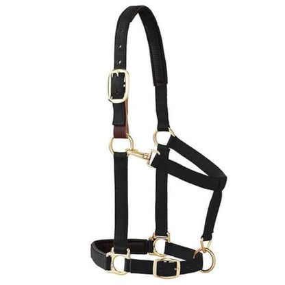 Weaver Equine Breakaway Horse Halter, Comfort Foam Padding, Adjustable Chin & Throat Snap Halters for Horses, Equine Tack,Average Size, Purple