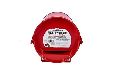 Little Giant® Painted Galvanized Bucket Waterer | Chicken Waterer | Heavy Duty Gravity Fed Water Tank | Easy to Carry | 1 Gallon