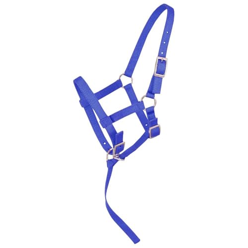Tough1 Adjustable Halter - color: Royal Blue, size: Weanling