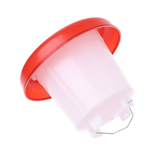 Chicken Feeder Waterer Baby Chick Drinker Feeder with Carrying Handle Capacity 2.5 L Chicken Water Feeder Pet Supplies