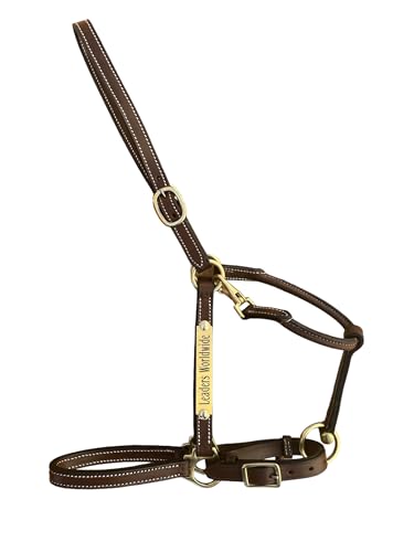 Leaders 3/4" Leather Halter for Horses with Customized Engraved Name Plate Brown Leather with Solid Brass Hardware - size: Draft