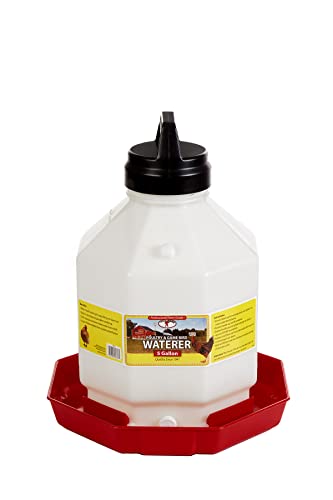 Little Giant® Plastic Poultry Waterer | Heavy Duty Plastic Gravity Fed Water Container | Easy to Fill | Snap on Jar | 5 Gallons
