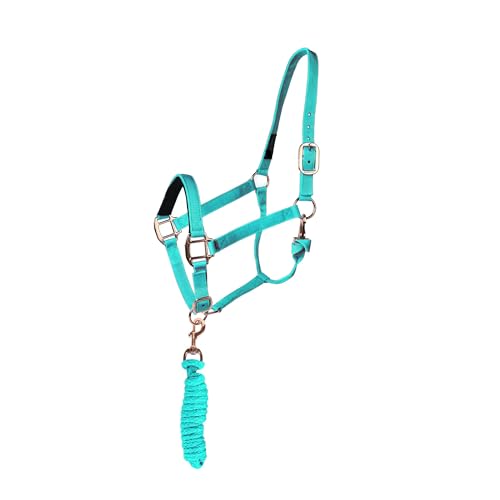 Majestic Ally Halter with Lead Rope for Horses–Adjustable Chin and Crown–Rolled Throat Latch with Replaceable Snap–Padded Noseband–Heavy Duty Rose Gold Finish Hardware - color: Turquoise