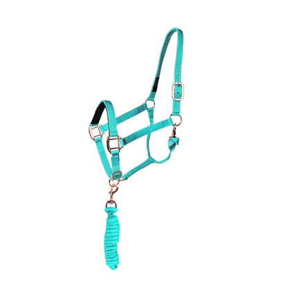 Majestic Ally Halter with Lead Rope for Horses–Adjustable Chin and Crown–Rolled Throat Latch with Replaceable Snap–Padded Noseband–Heavy Duty Rose Gold Finish Hardware - color: Turquoise