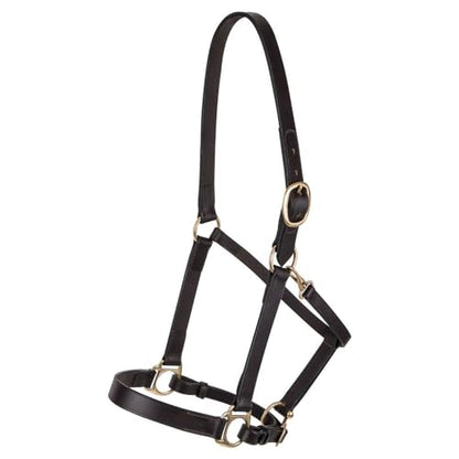 Dura-Tech Premier Lancaster Leather Halter for Horses | Simple Economy Leather Halter with Adjustable Fit & Solid Brass Hardware - size: Cob