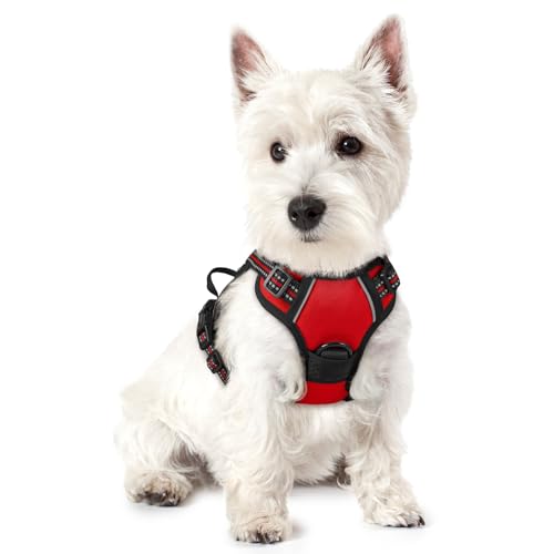 rabbitgoo Dog Harness No Pull with 2 Leash Clips, Adjustable Soft Padded, Reflective Oxford No Choke Pet Vest with Easy Control Handle for Puppy, Red,XS - color: Red, size: X-Small