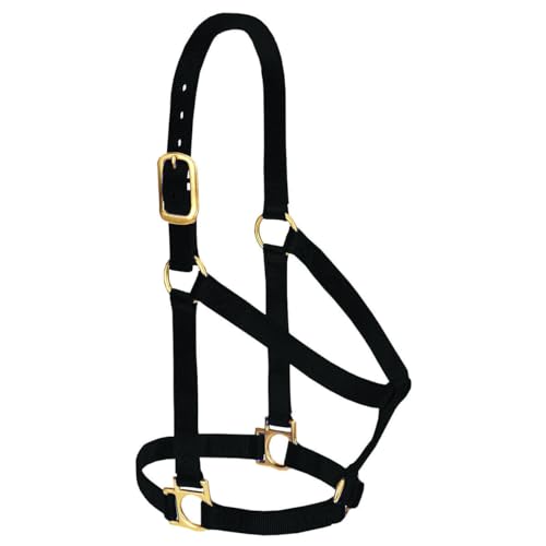 Weaver Leather Basic Non-Adjustable Nylon Horse Halter - color: Black, size: 1" Large Horse