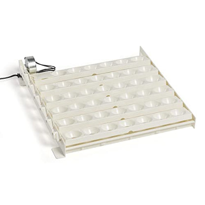 Farm Innovators Automatic Egg Turner, 41 Spot Chicken Egg Turning Tray with Thermometer for Improved Hatching Rate - Compatible with Select Incubators - size: Pack of 1