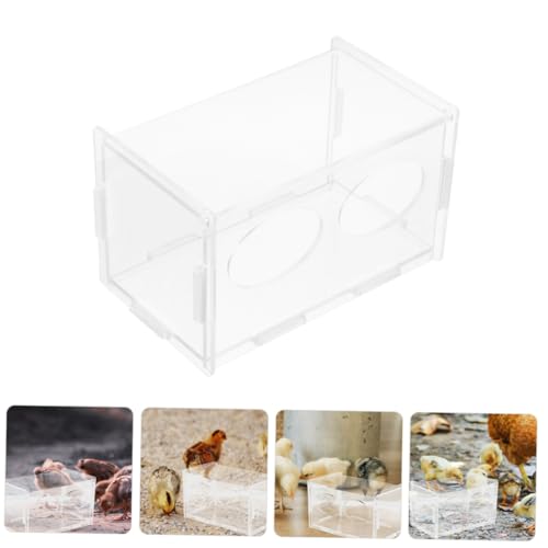Toddmomy 3pcs Rutin Chicken Feeder and Water Bowl Automatic Poultry Dispenser for Healthy Feeding Design for Backyard Farmers and Hobbyists