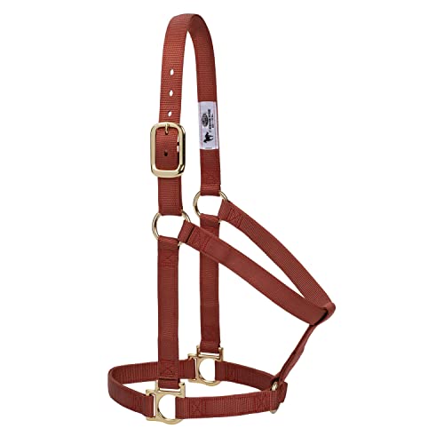 Weaver Equine Basic Non-Adjustable Halter - color: Cinnamon, size: 1" Small Horse
