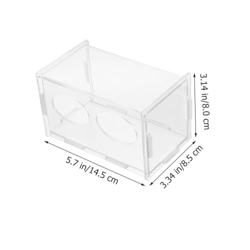 Toddmomy 3pcs Rutin Chicken Feeder and Water Bowl Automatic Poultry Dispenser for Healthy Feeding Design for Backyard Farmers and Hobbyists