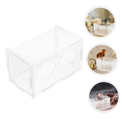 Toddmomy 3pcs Rutin Chicken Feeder and Water Bowl Automatic Poultry Dispenser for Healthy Feeding Design for Backyard Farmers and Hobbyists