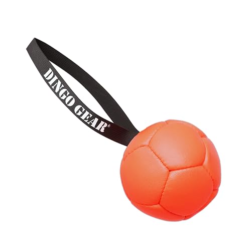 Dingo Gear Dog Ball and Pump Set, Faux Leather, Orange 5in - color: Orange Ball+Pump, size: 5"