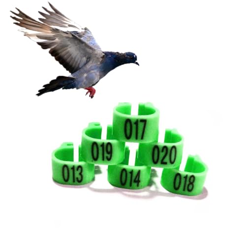 Chicken Leg Rings 9 Color Numbered Chicken Leg Bands Colorful Poultry Leg Bands 10mm Clip-on Chicken Ankle Ring(001-500) Green 301-400 - color: Green, size: 301-400