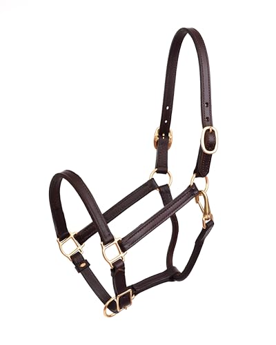 Perri's 3/4-Inch Premium Leather Show Halter