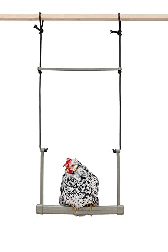 Little Giant® Chicken Swing - Poultry Enrichment Toy for Coop Exercise & Boredom Relief - Stimulating Balance Trainer for Hens & Roosters - Made from Durable Recycled Plastic