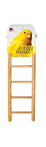 Prevue Pet Products BPV383 Birdie Basics 5-Step Wooden Ladder for Bird, 8-1/2-Inch