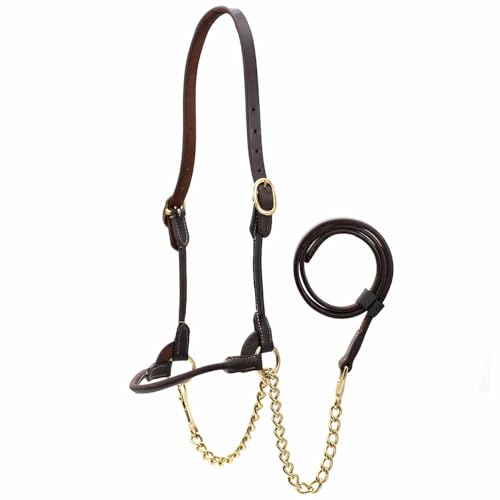 Jeffers Soft Pre-Oiled Harness Leather Show Halter for Cattle – Durable Rolled Cheeks, Noseband, 6’ Lead Rope with 24" Brass Chain & Bolt Snap, Safe Handling, Top Accessory - color: Havana Brown, size: Large